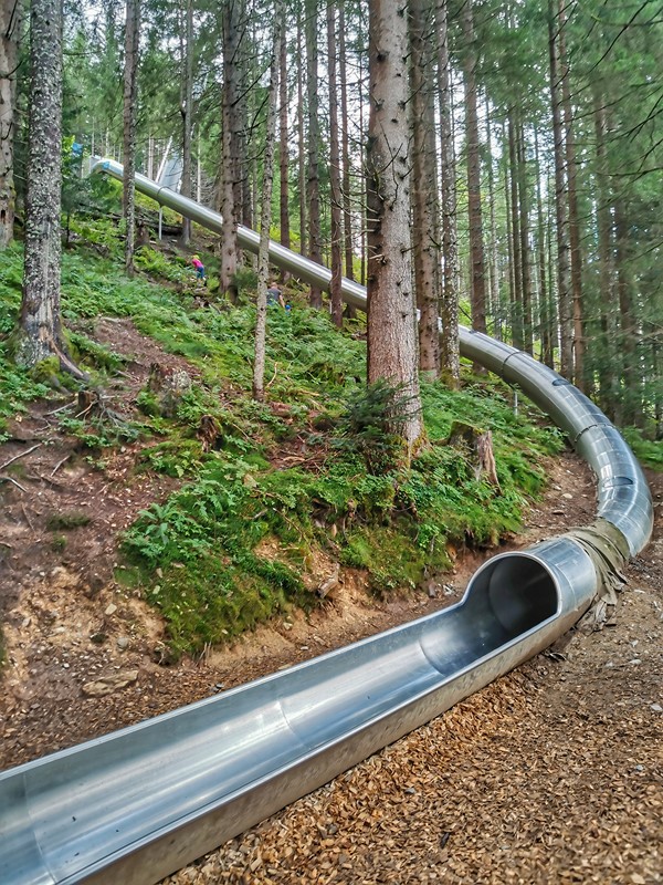 Forestslide park