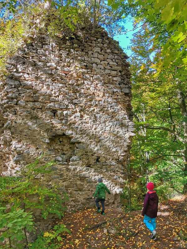 Zřícenina hradu Holštejn